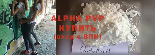 PSILOCYBIN Верхний Тагил