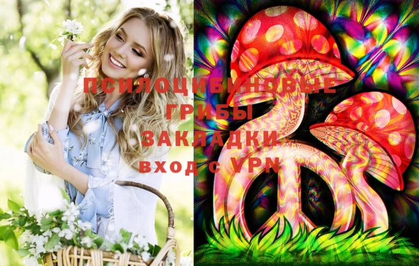 гашик Волоколамск