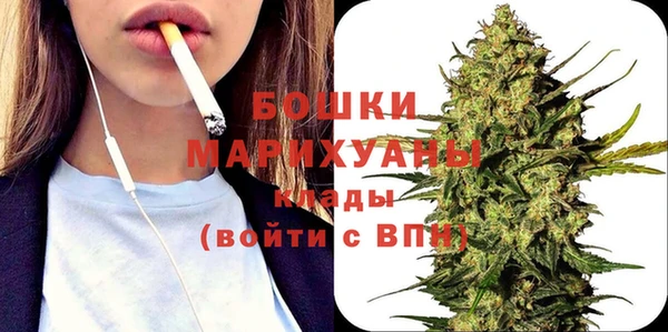 PSILOCYBIN Верхний Тагил
