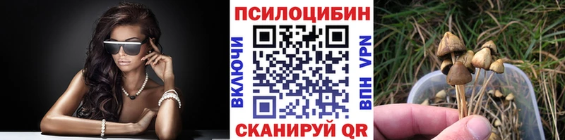 Псилоцибиновые грибы GOLDEN TEACHER  купить наркоту  Катайск 
